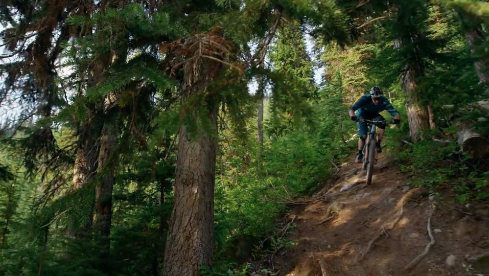 Video: THE KOOTENAYS x PROVEN HERE
