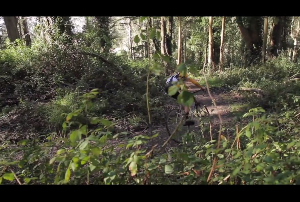 Video: Forest razzin’