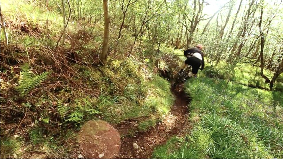 The Dudes of Hazzard, Business as Usual – Part 1 Introduding