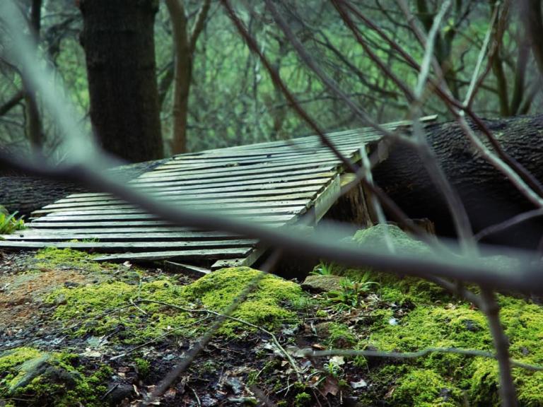 Throwback Thursday – The Secret Spot