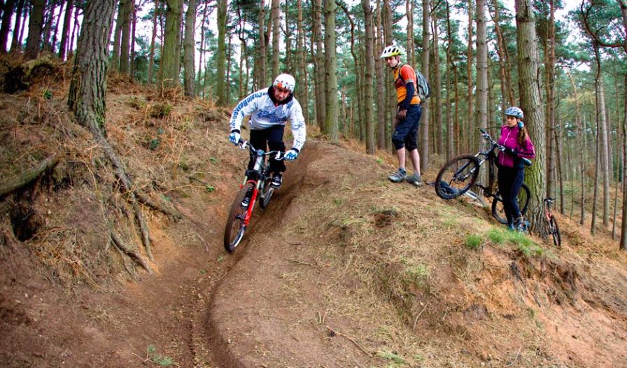 Throwback Thursday – Trails to Rails