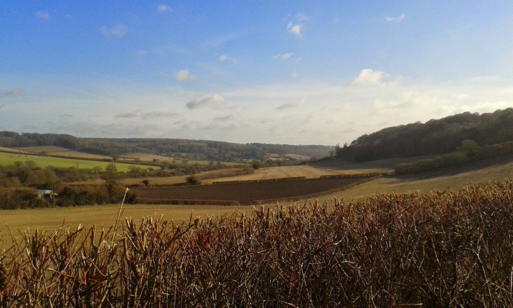 #DOACC – So what now?!