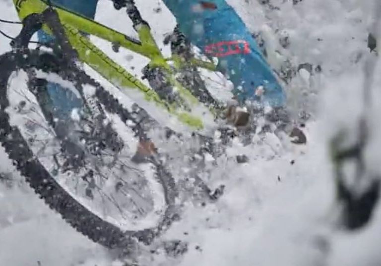 Poule up – ‘real bikes, real animals, real fun’