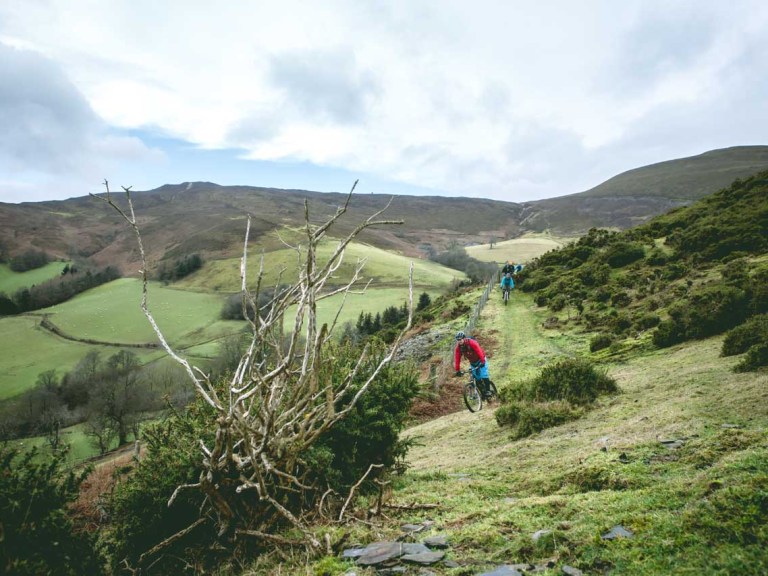 Is Open Access in Wales a possibility?