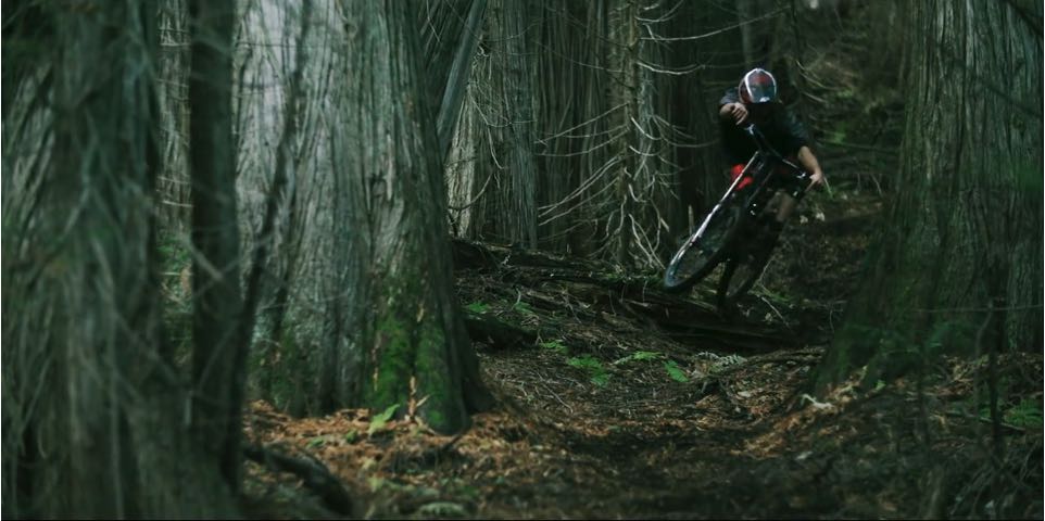 Chromag: Paul Genovese