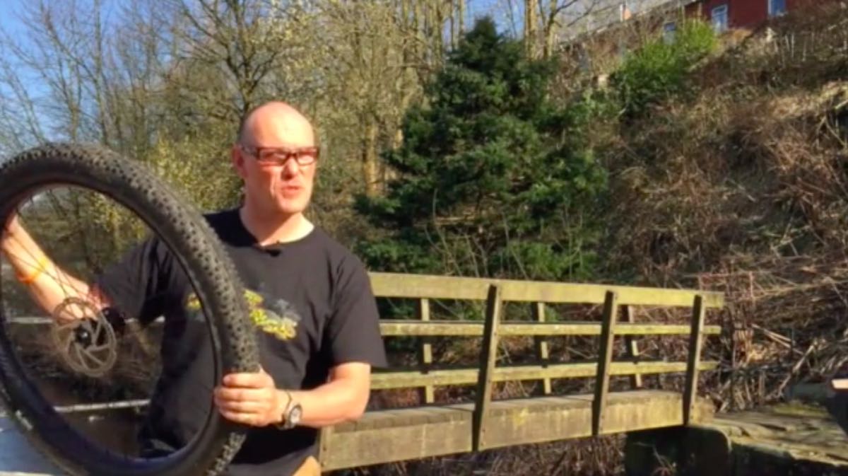 Sea Otter Predictions – The Oracle Speaks!