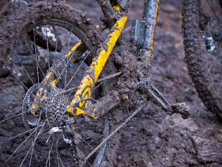 What Does Mountain Biking Smell Like?