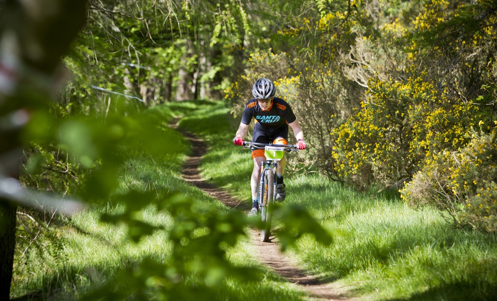 Glentress 7 Race Report