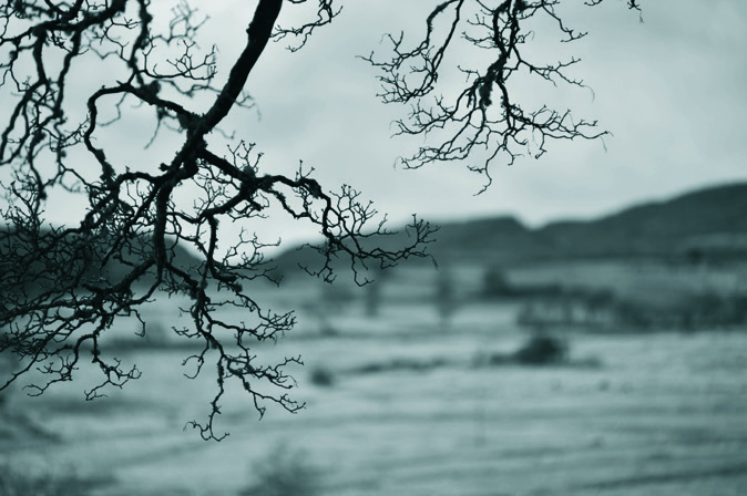 Throwback Thursday: Everyday Centurion