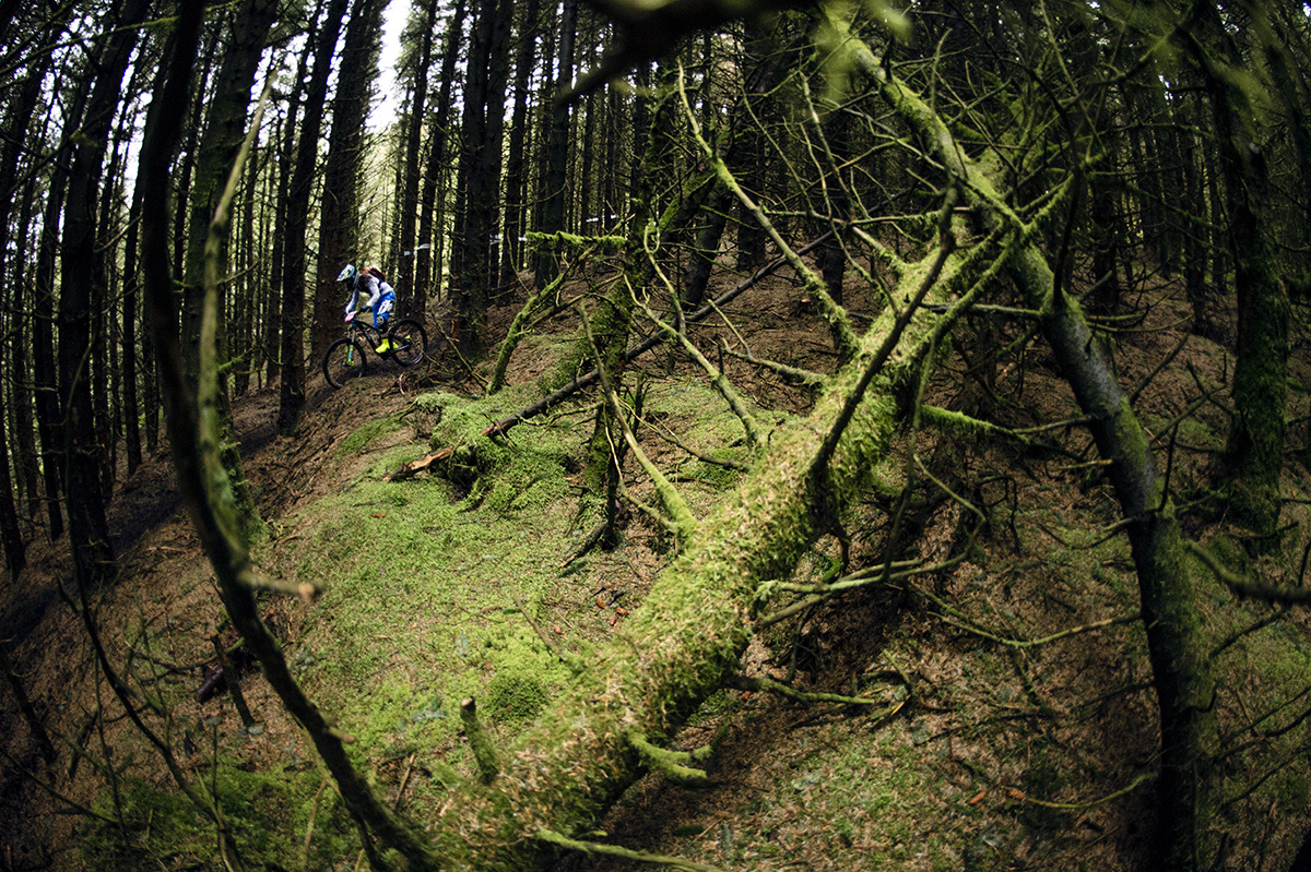 SN_Singletrack_Tweedlove_04