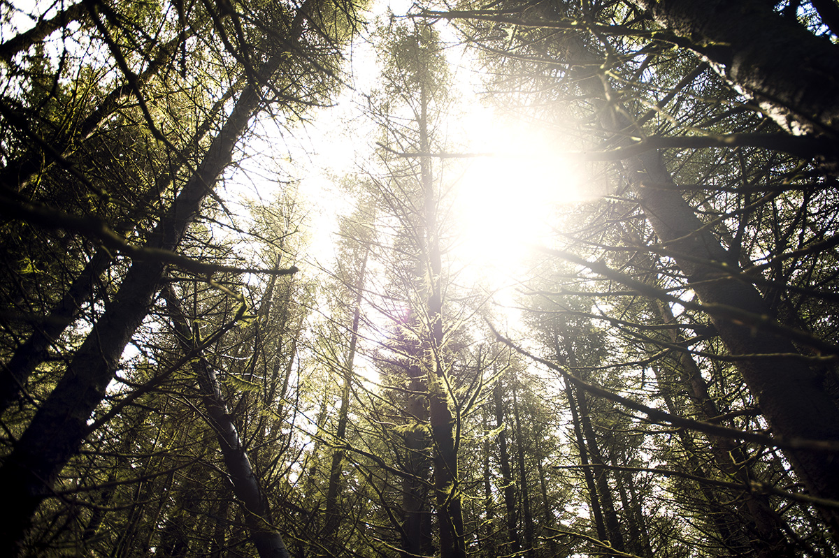 SN_Singletrack_Tweedlove_06