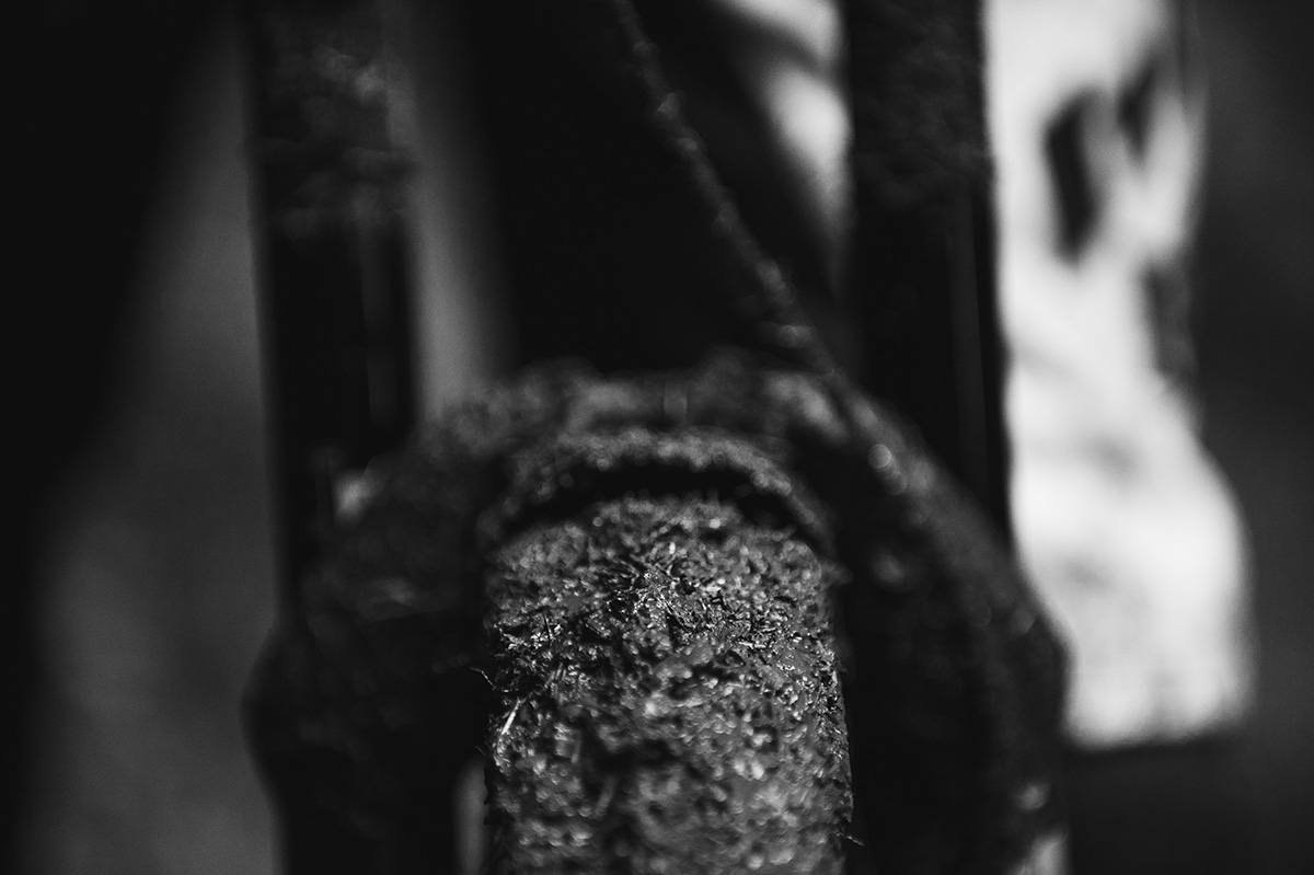 SN_Singletrack_Tweedlove_Sun12