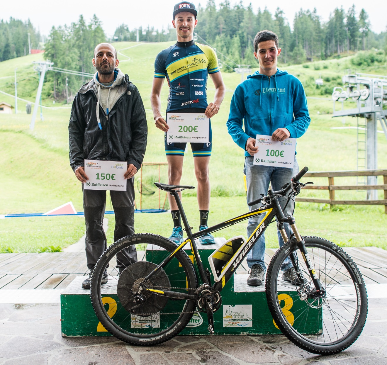 2015 BionX E-Bike WM 02