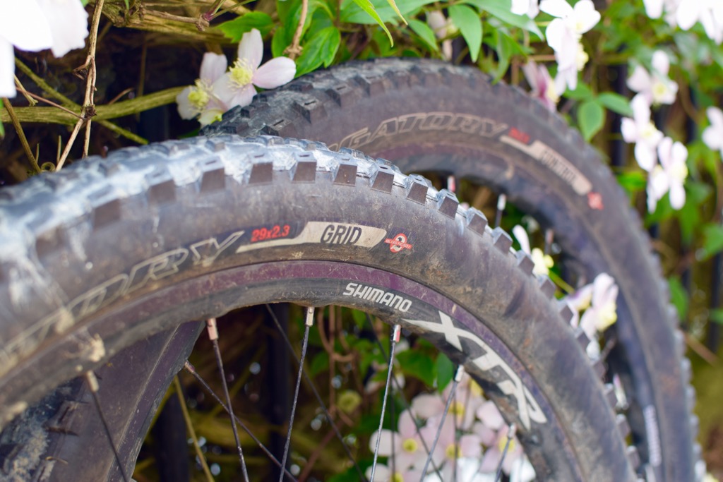 Specialized Purgatory Control and Grid tyres