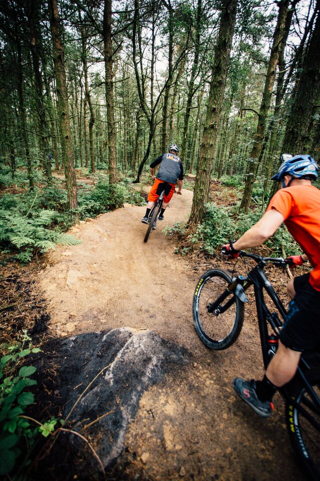 Forestry action