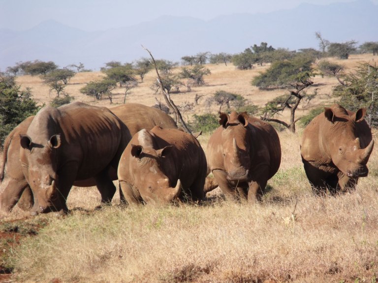 From A Fair Isle Sweater To Pat Butcher