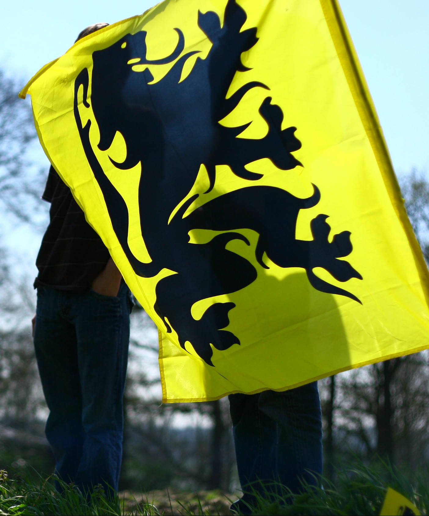 Belgian Insights: Lion of Flanders