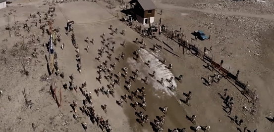 How to: Survive the Megavalanche with the Trail Ninja (VIDEO)