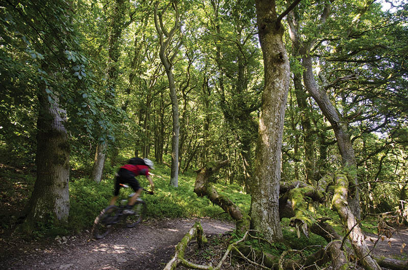 MP Attacks Mountain Bikers… Verbally