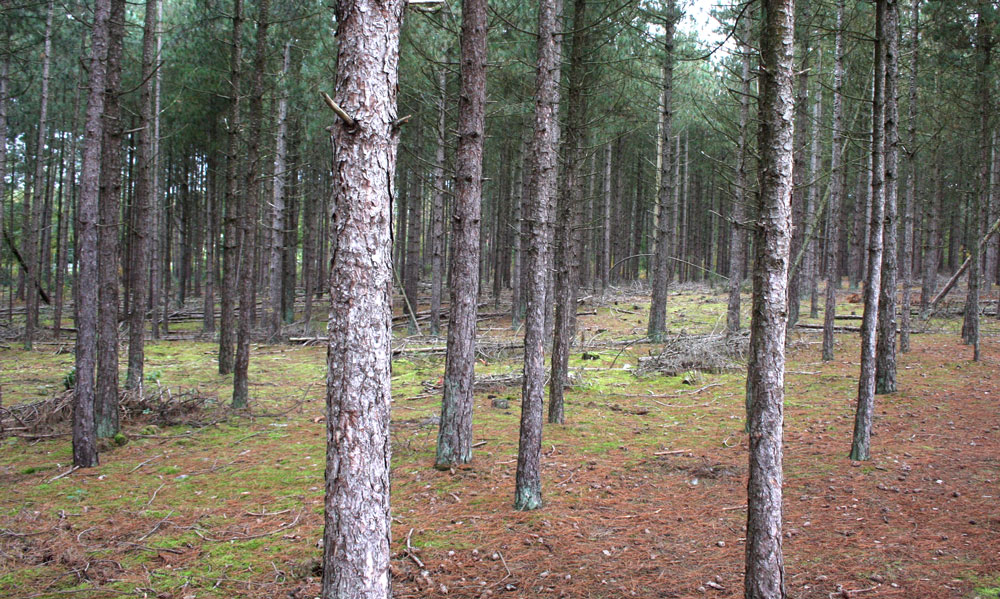 Greg’s Knowledge Drop v4