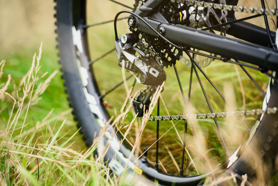 vitus sommet singletrack