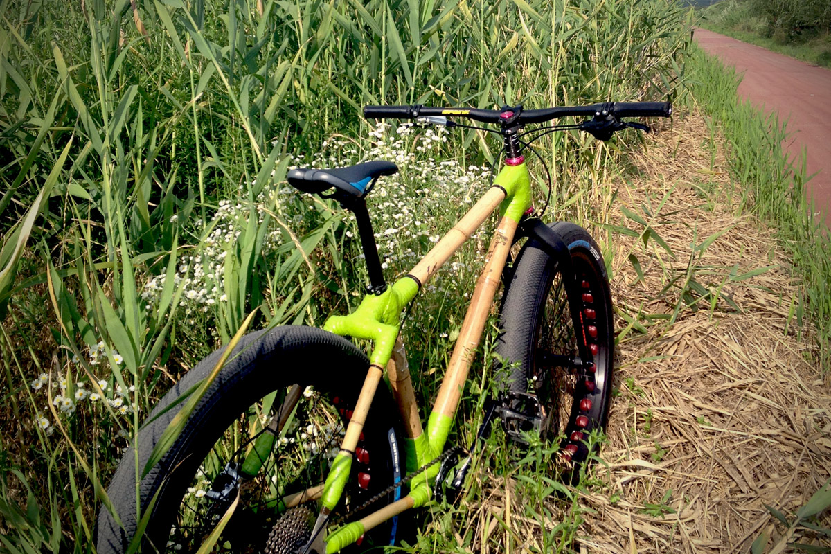 Would Sir prefer a fatbike?