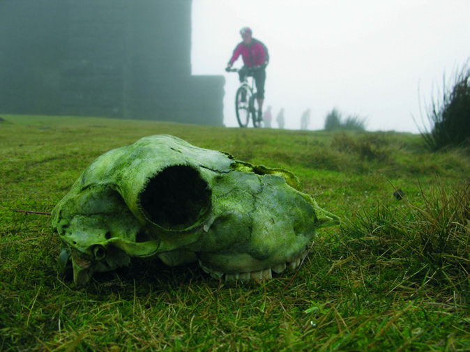 Steve Makin Diary singletrack magazine