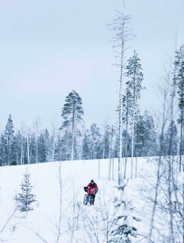 Singletrack Magazine Snow Shaggy