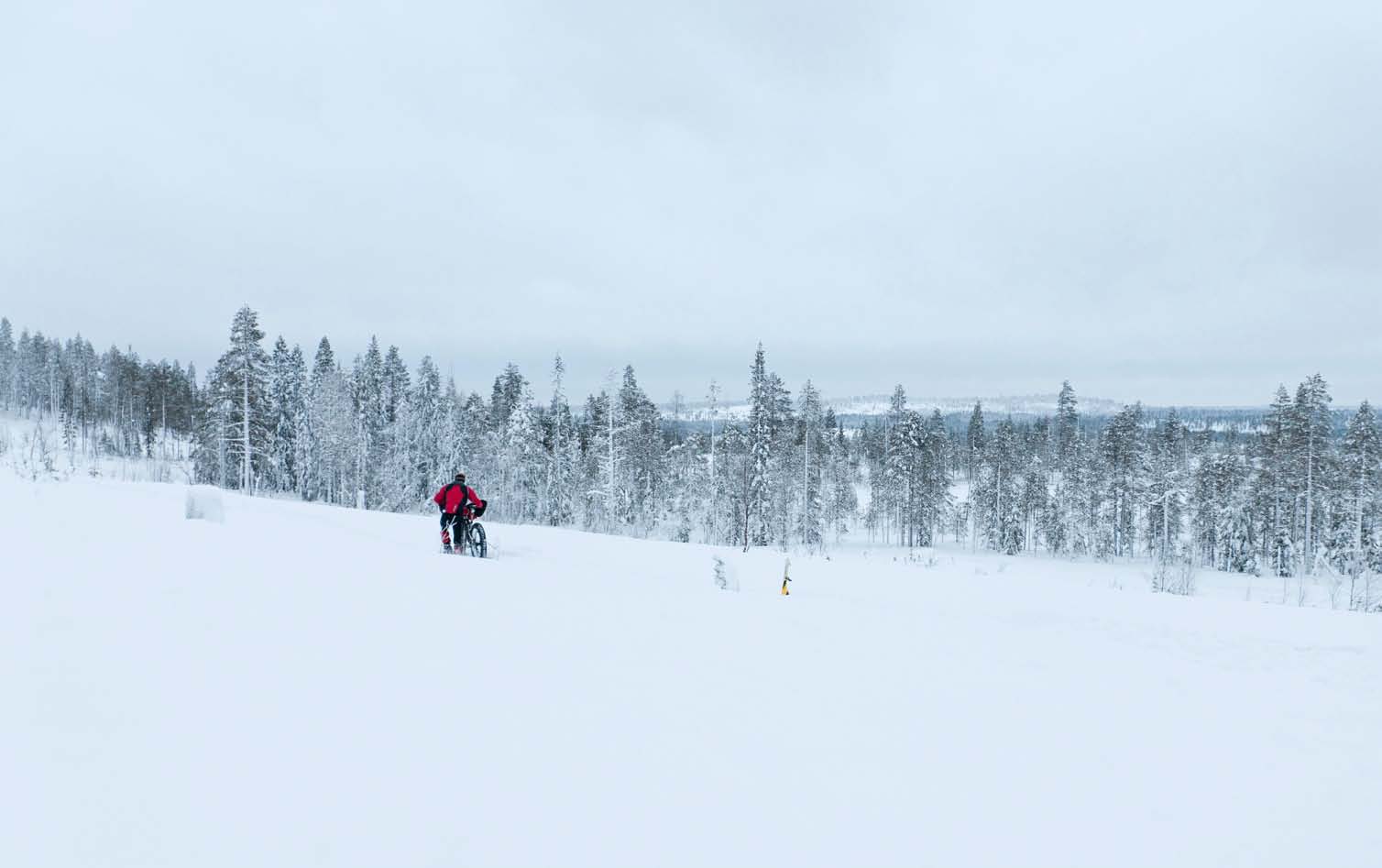 Singletrack Magazine Snow Shaggy