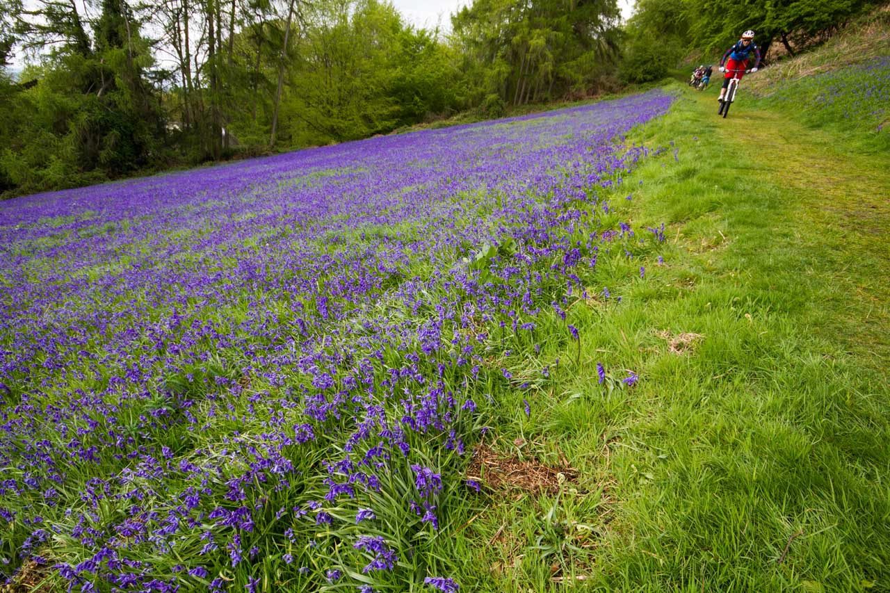 malverns singletrack magazine