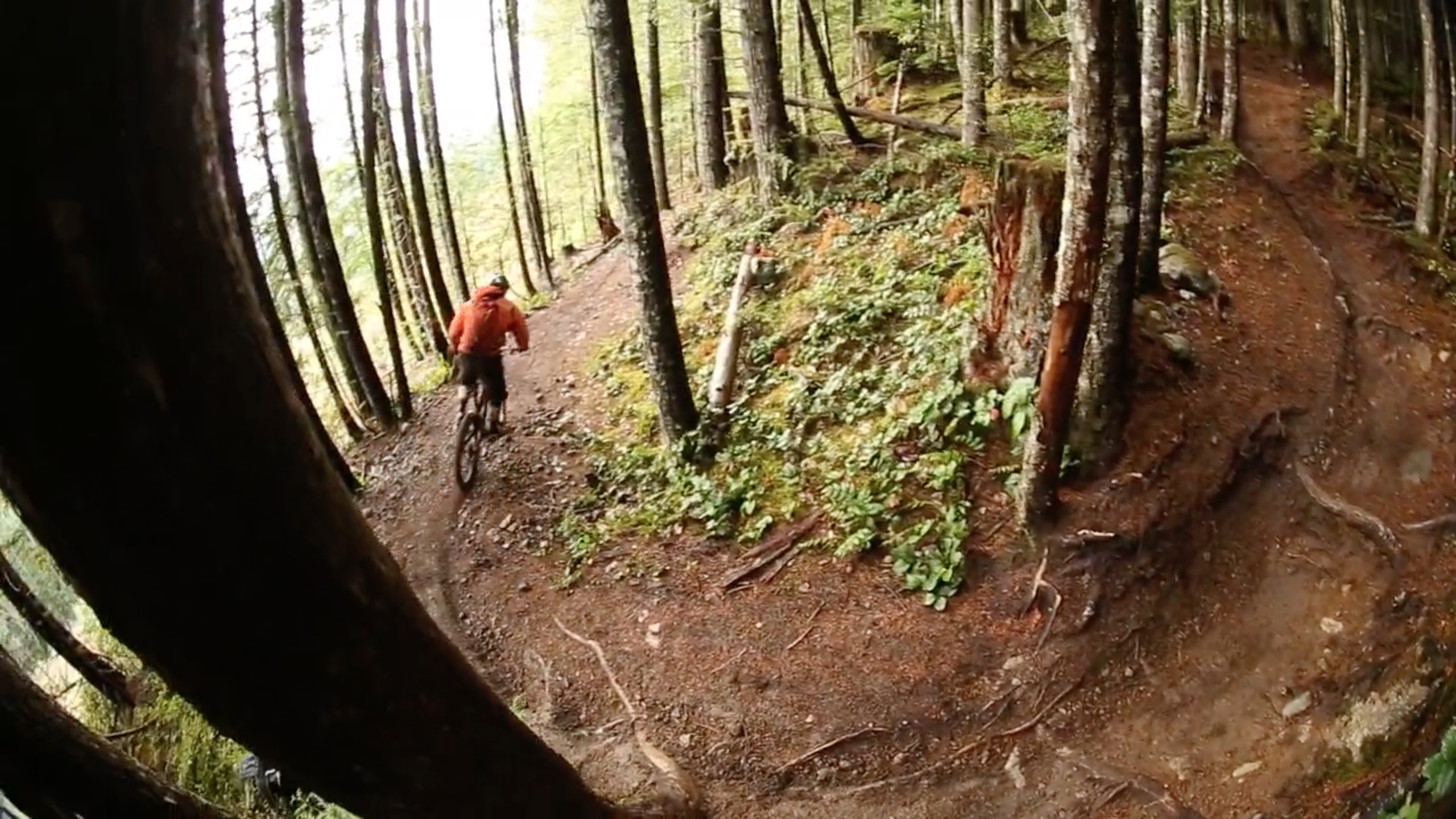 kona, north shore, squamish, trevor porter, trail riding