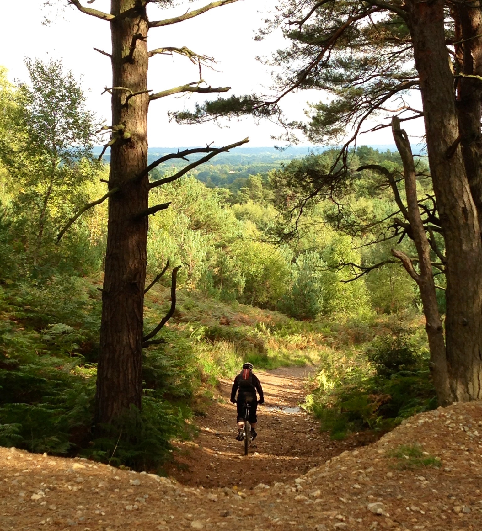 Bagshot Heath