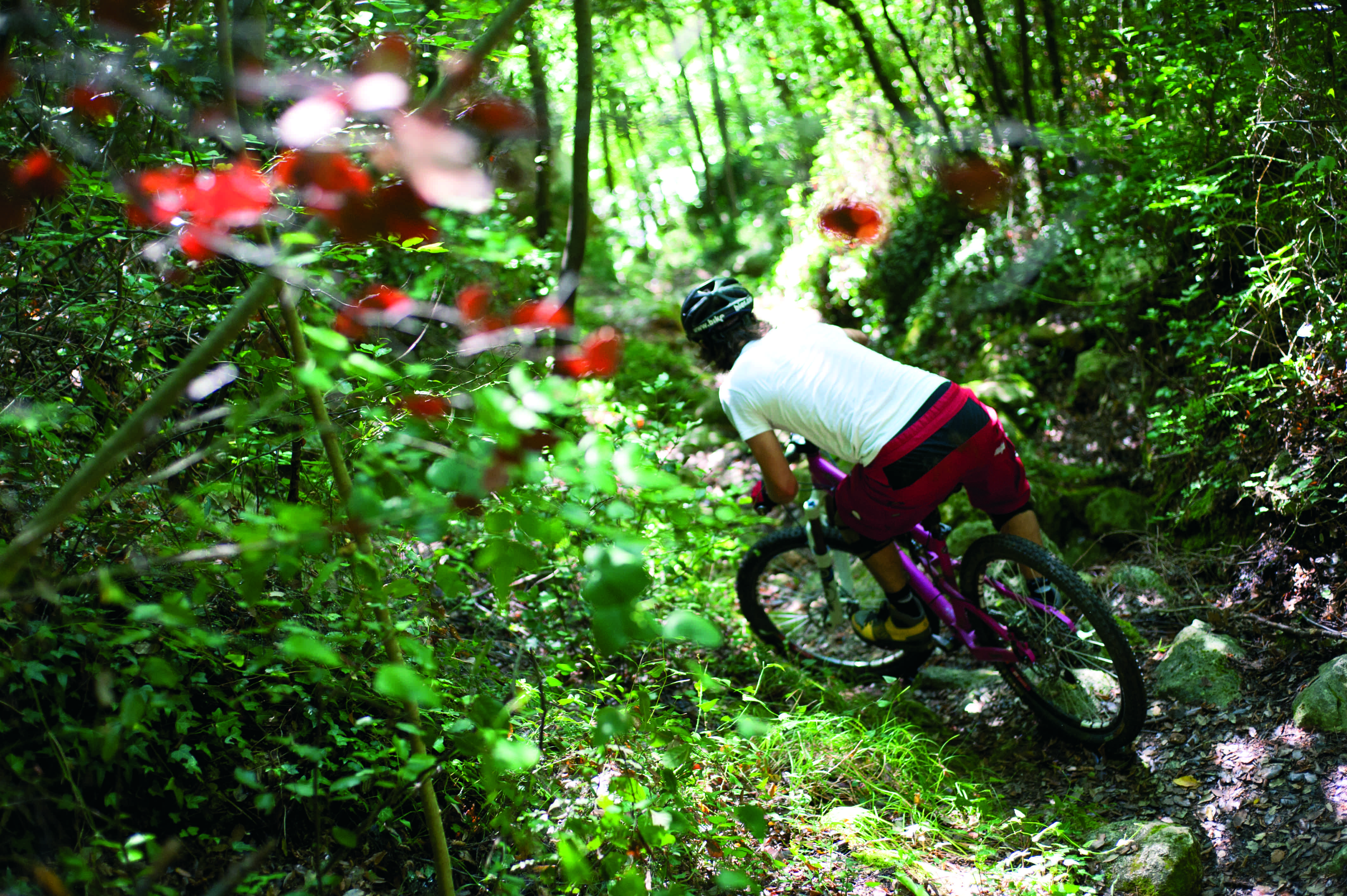 What’s It Worth? – Is It Possible To Place A Value On Riding?