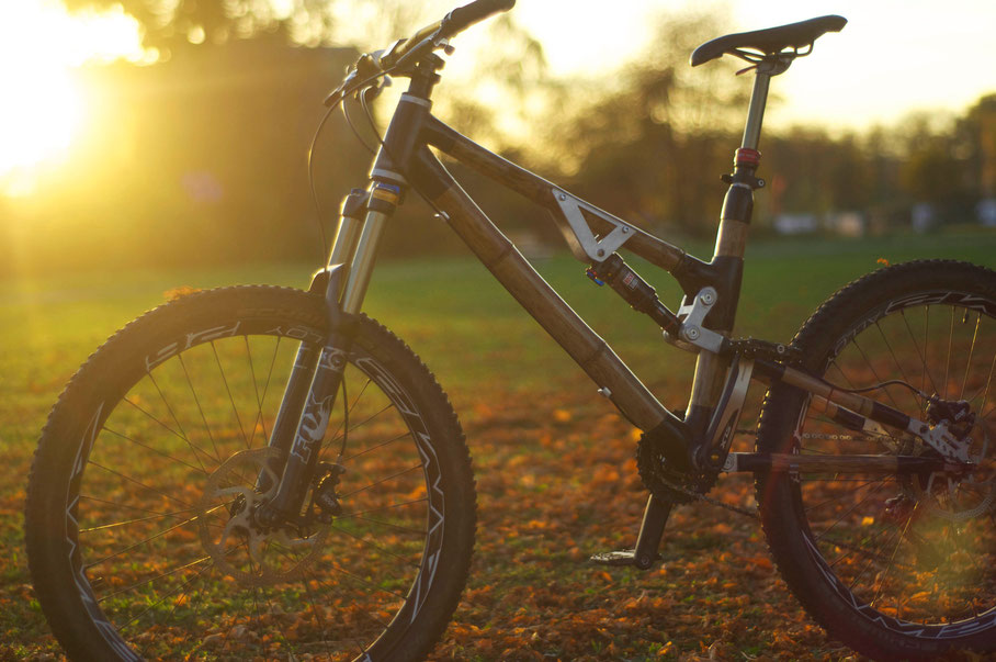 Gai Bikes Artemis, made from bamboo