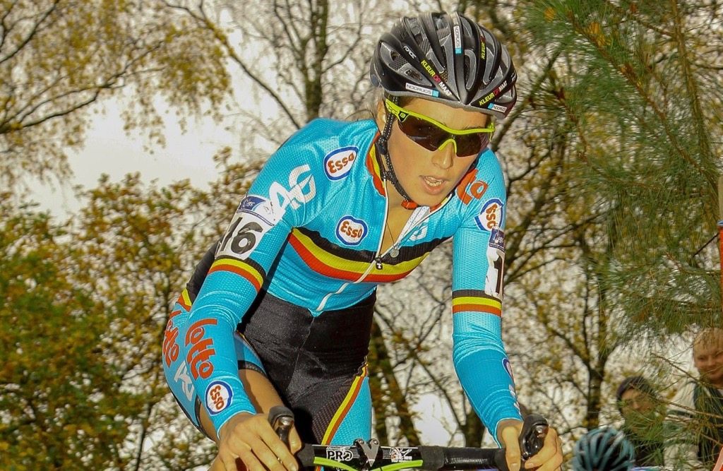 Mechanical Fraud – the fallout continues. With Parakeets.