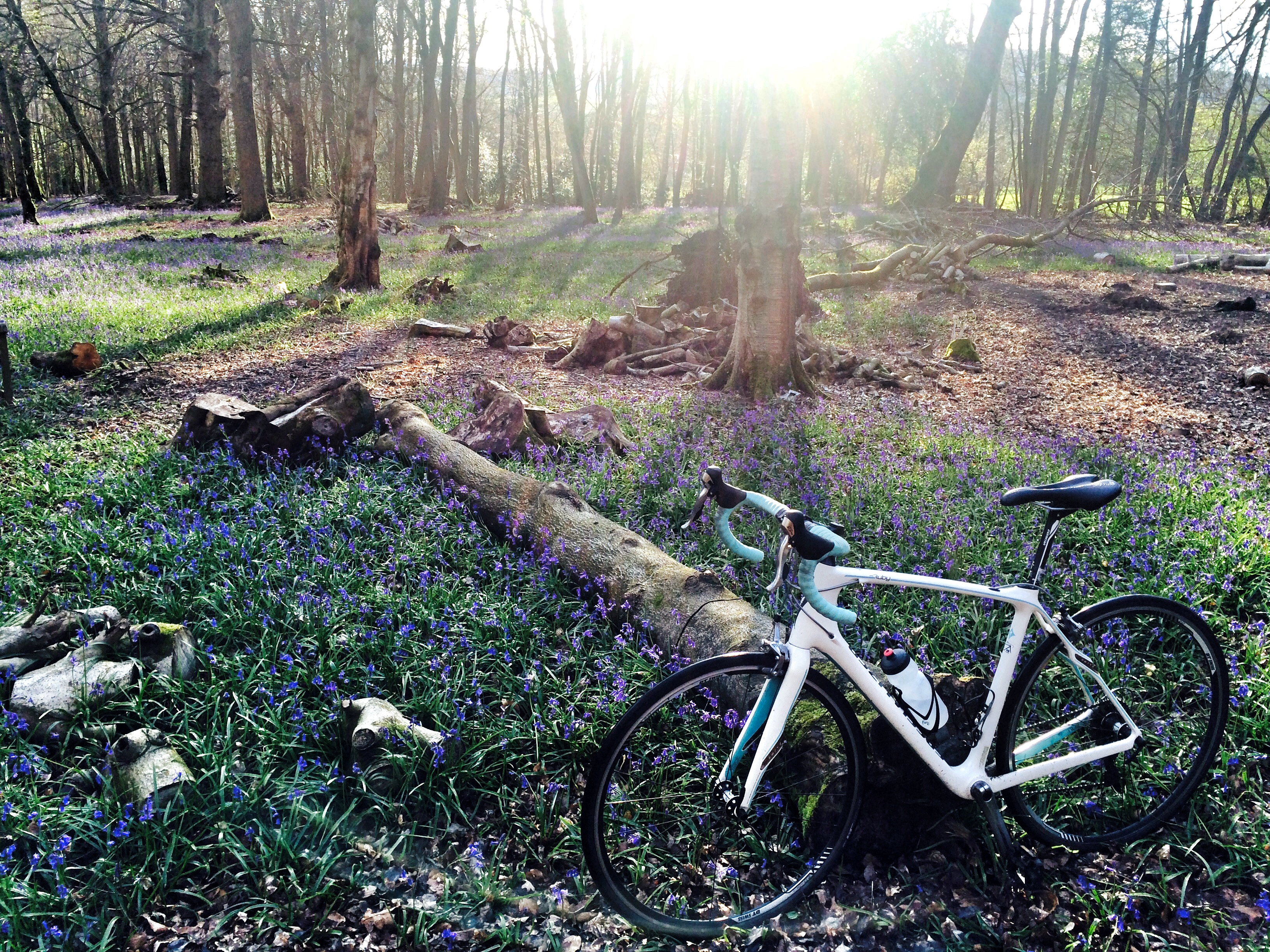 30 Days of Biking