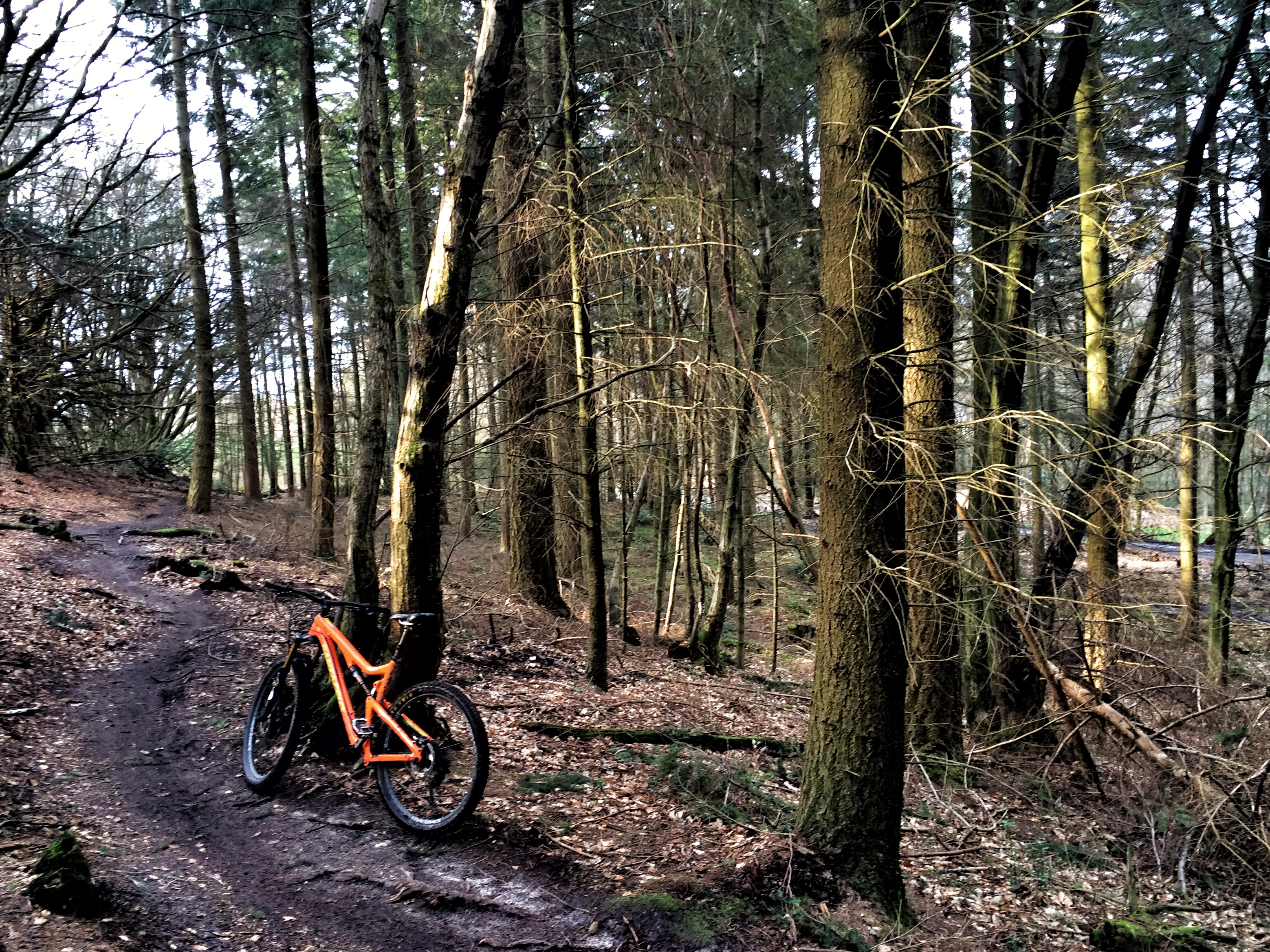 30 Days of Biking