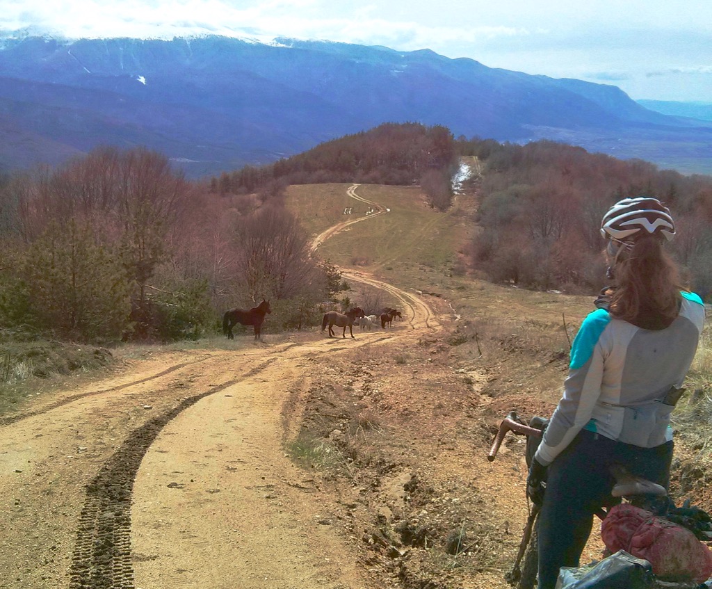 Technical Difficulties: Has cycling lost its wild side?