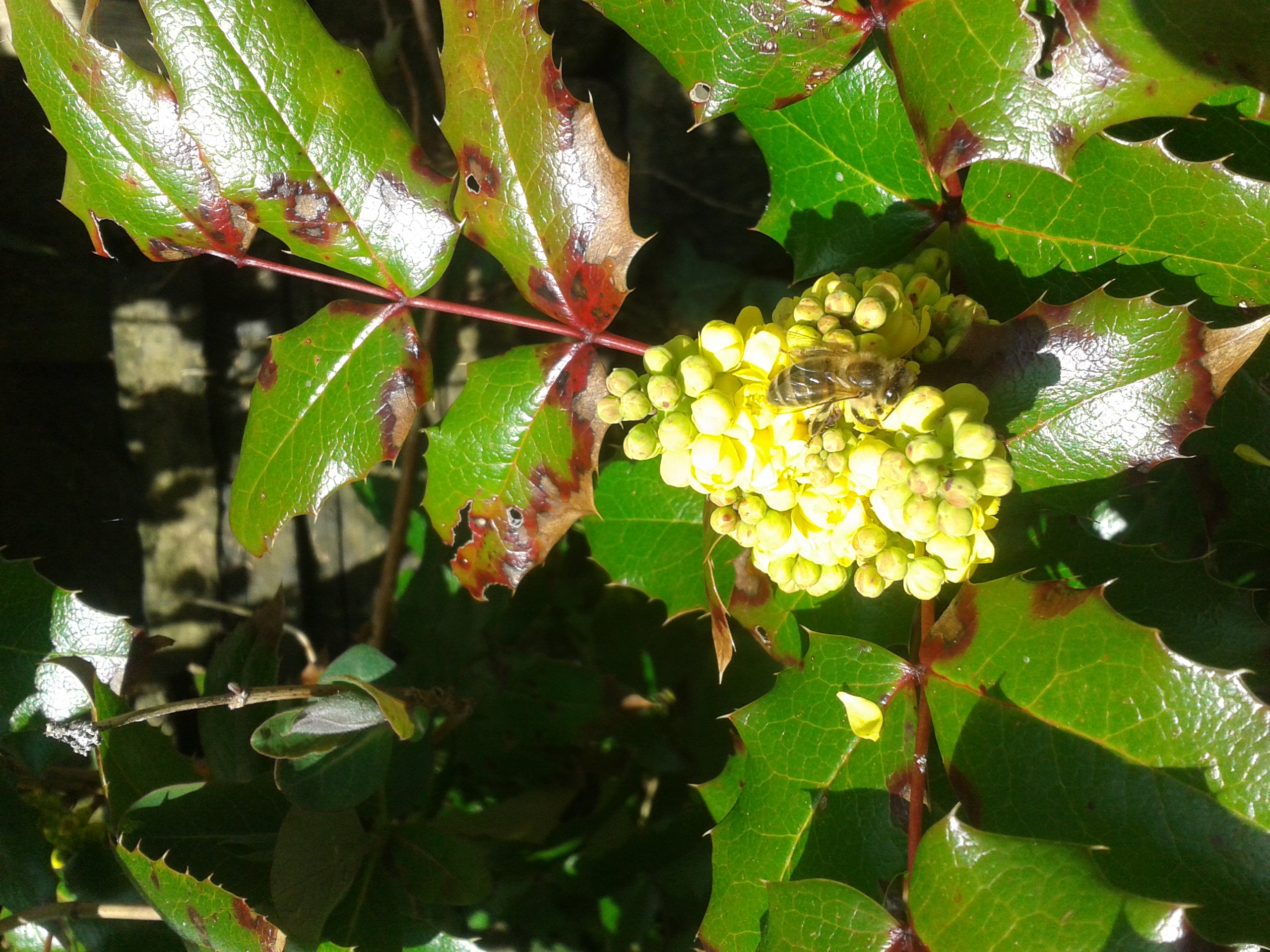 Column: The Rites of Spring