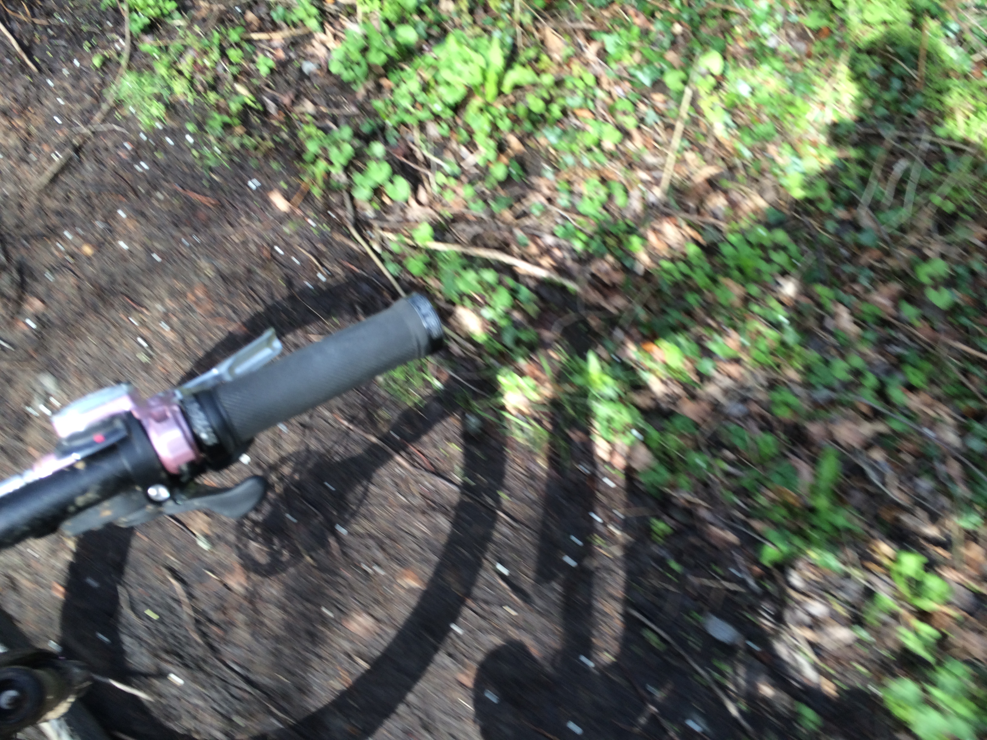 30 Days of Biking