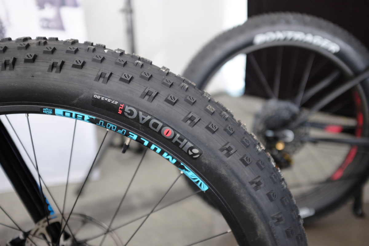 SeaOtter2016Trek0003