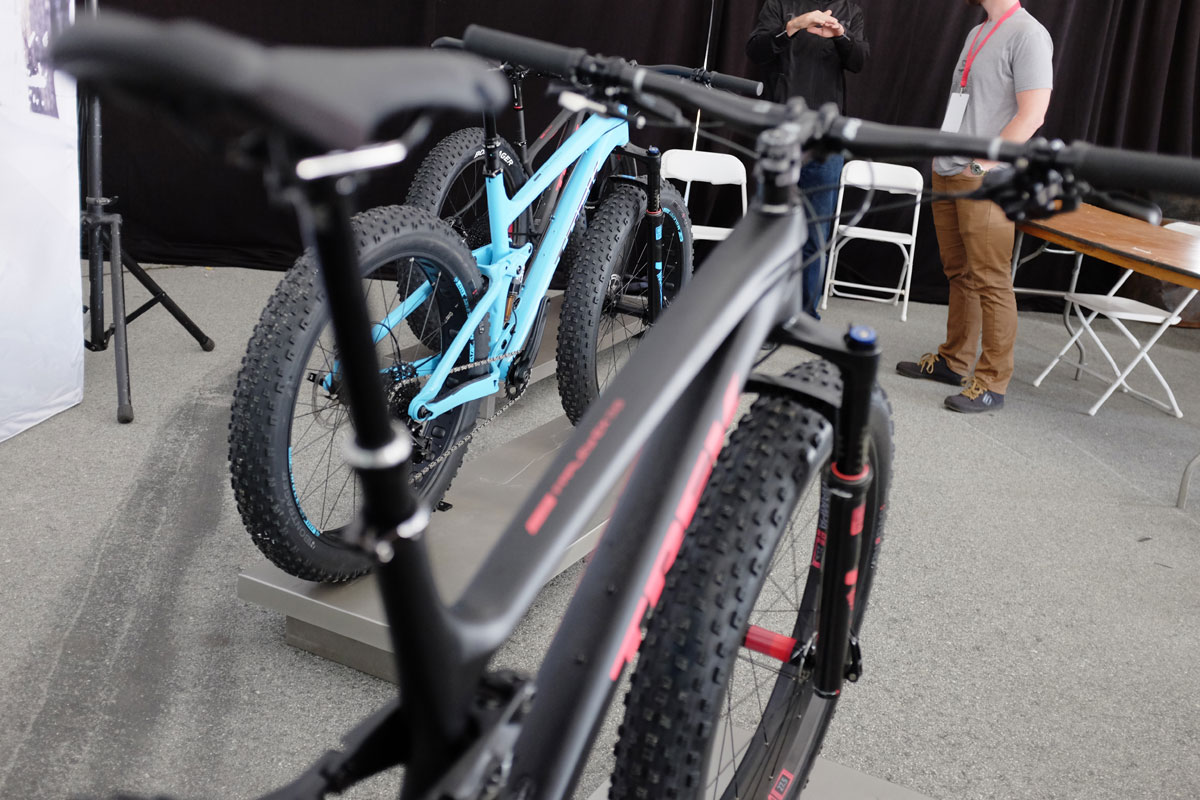 SeaOtter2016Trek0005