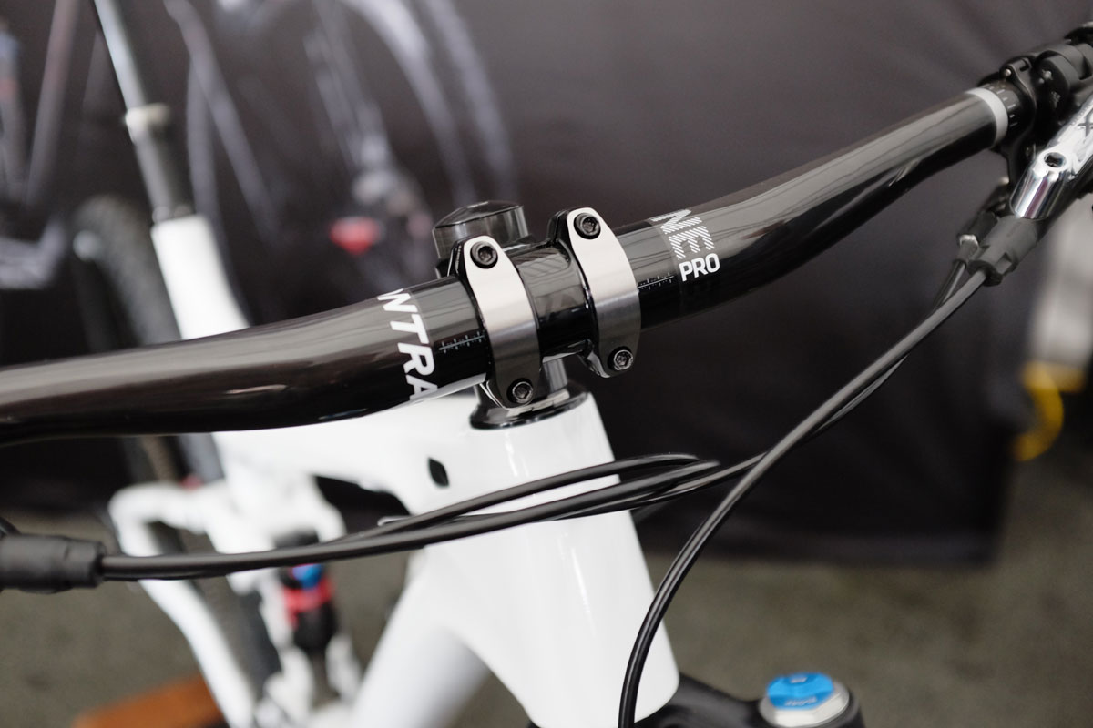 SeaOtter2016Trek0009