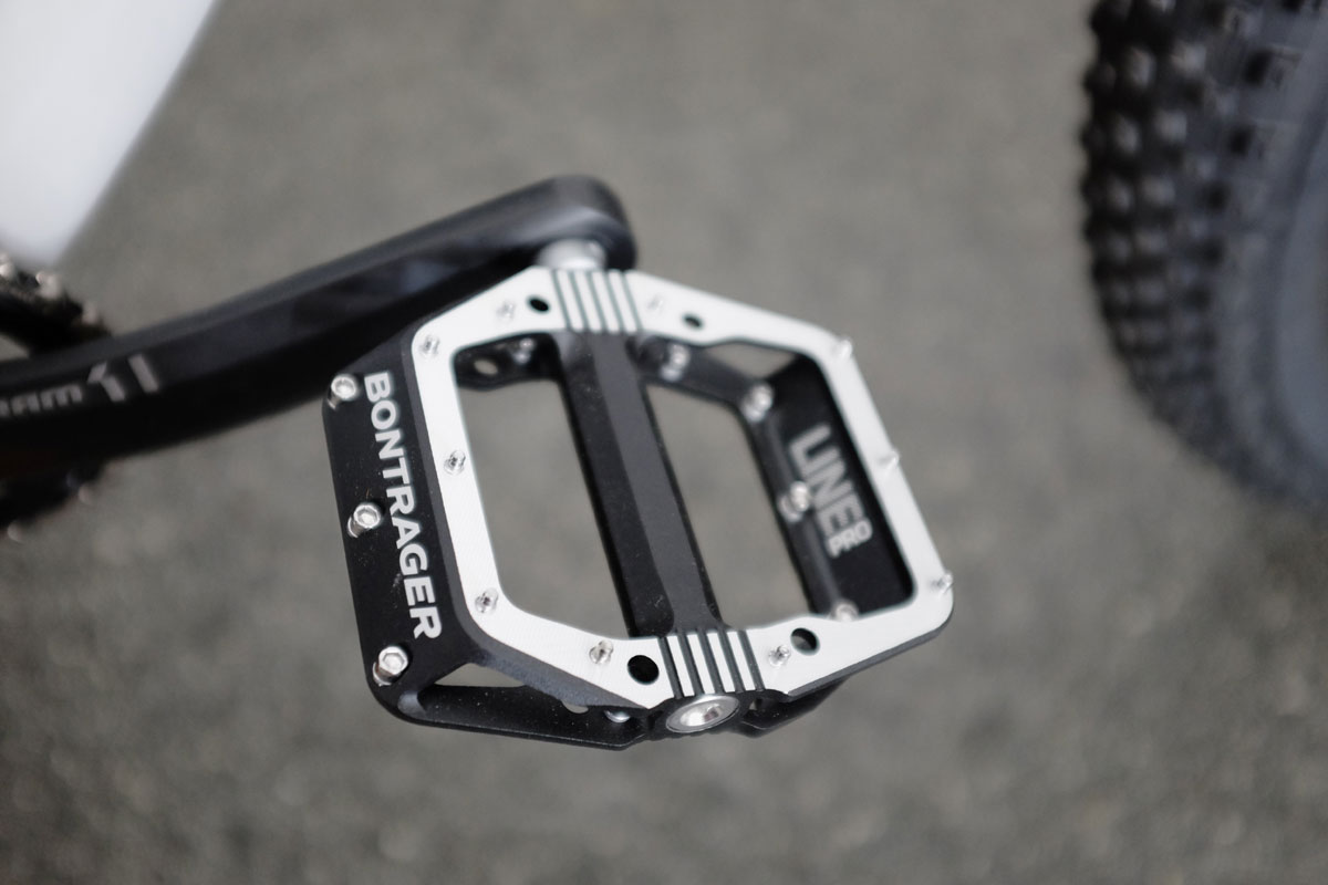 SeaOtter2016Trek0012