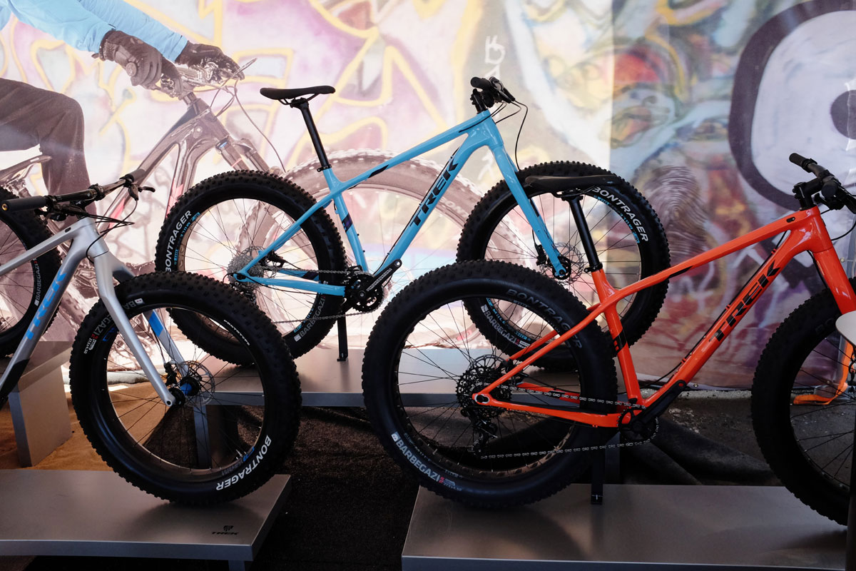 SeaOtter2016Trek0017