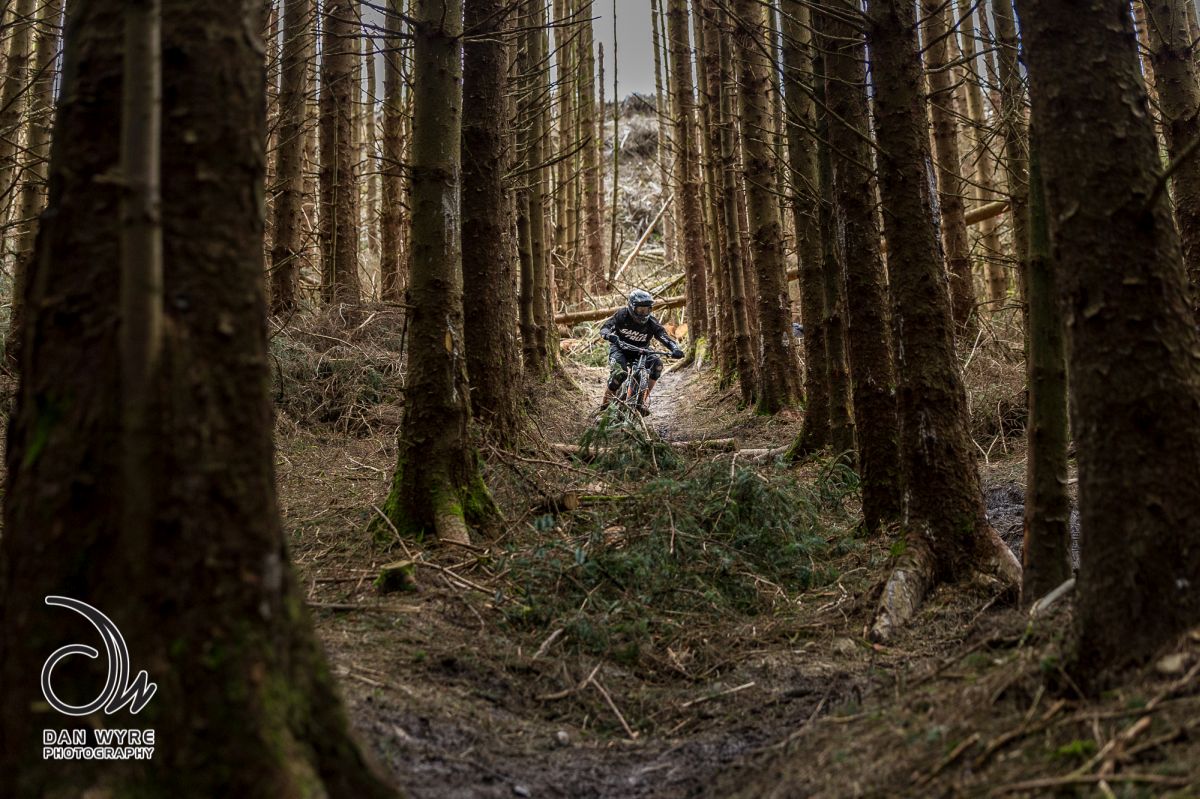 Steve Peat Peaty