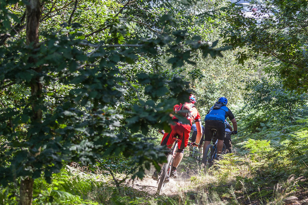 2016 British Marathon Championships gets Wild