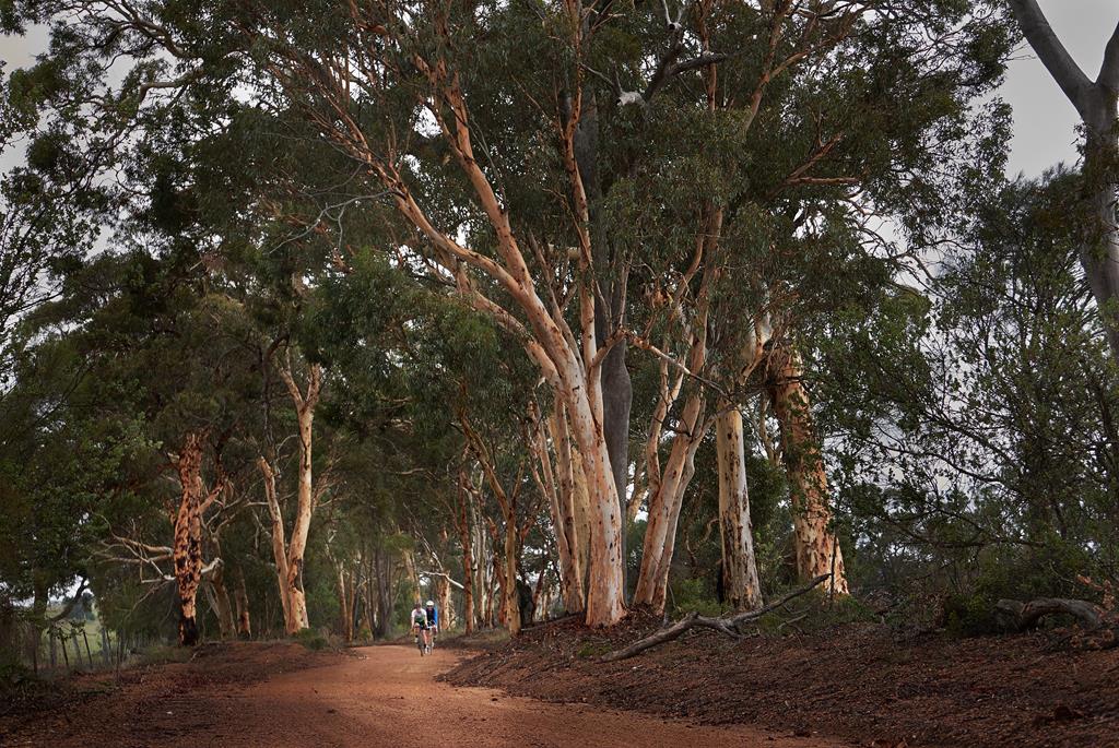 Event: Gravelling down under – The Beverley Heroic