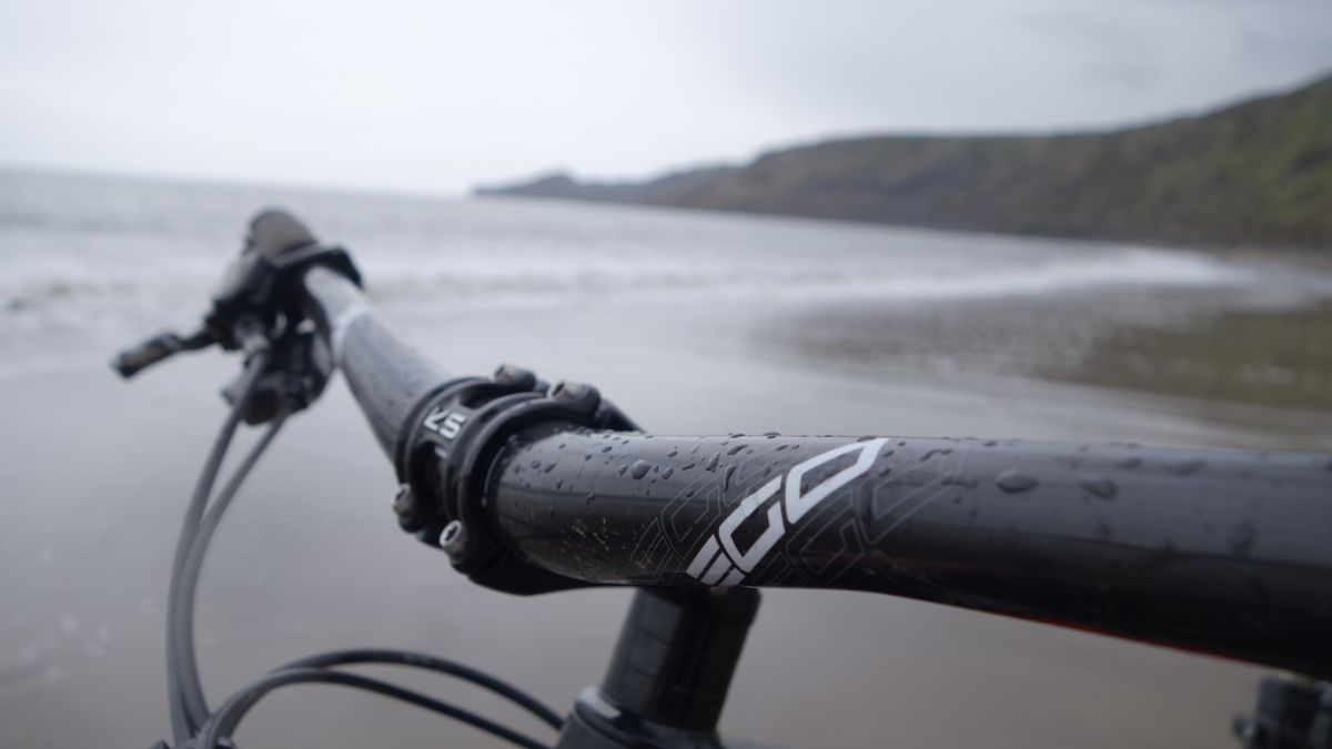 Review: RSP Ego Carbon DH Riser Bar