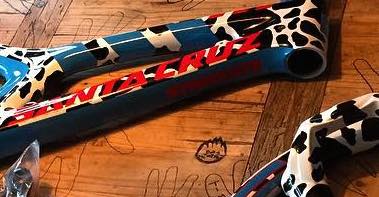 Steve Peat Unveils New Paintjob For Lenzerheid